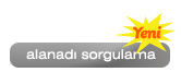 alanadi domain sorgulama